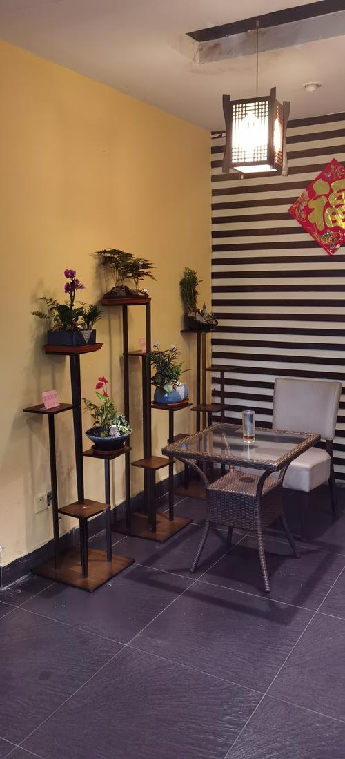 营口鲜花绿植租赁养护企业推荐:专业养护指南与正规服务商盘点