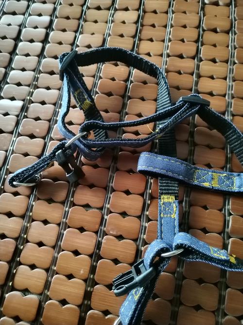 朝阳宠物牵引绳哪家强？2026口碑TOP5推荐清单及选购指南