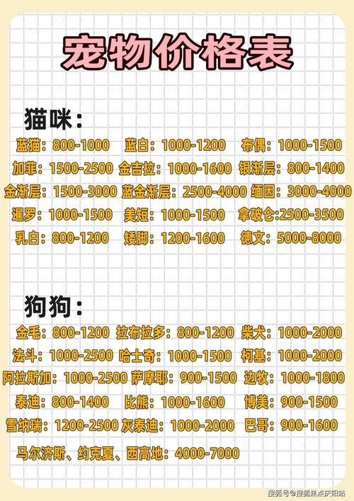 2026年上饶本地宠物售卖前5名盘点:正规渠道推荐与选购指南