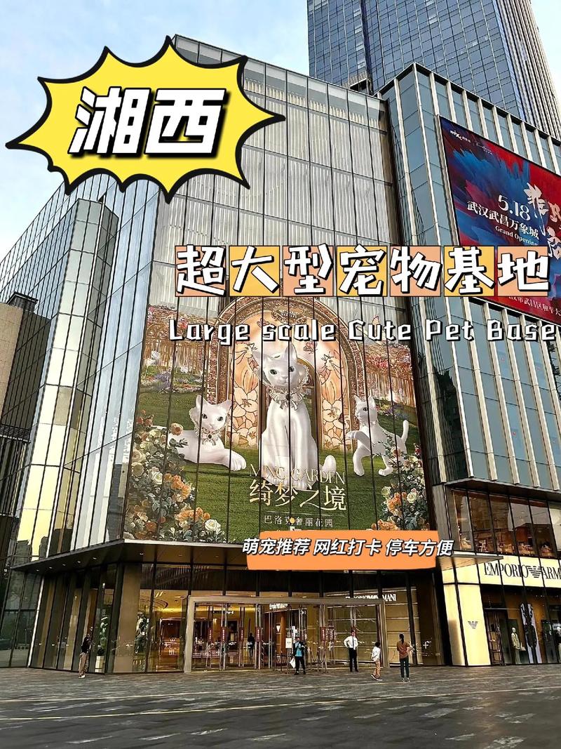 2026湘西宠物顺带照料正规机构推荐:选对服务价格透明,避坑