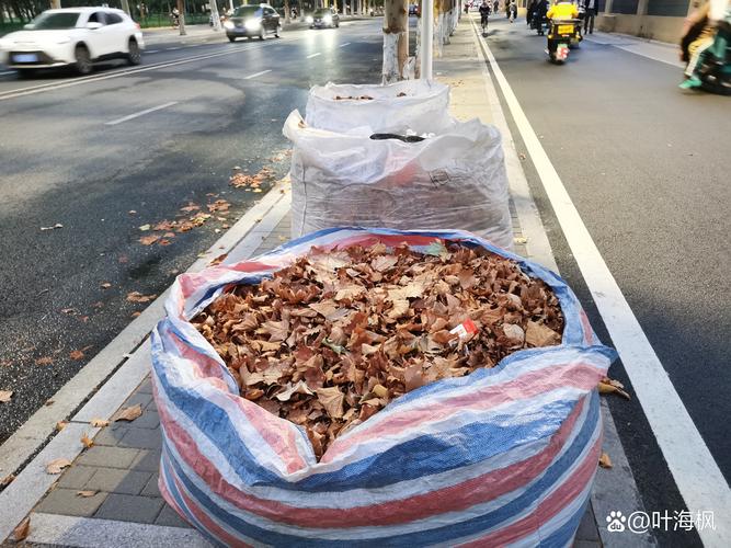 林芝附近杂物旧货急转TOP3：2026年同城闲置物品处理与避