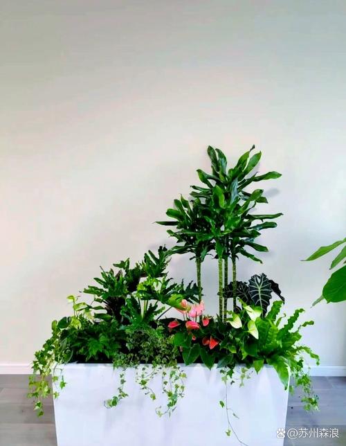 白银鲜花绿植工程施工怎么选？2026年专业避坑指南与核心推荐