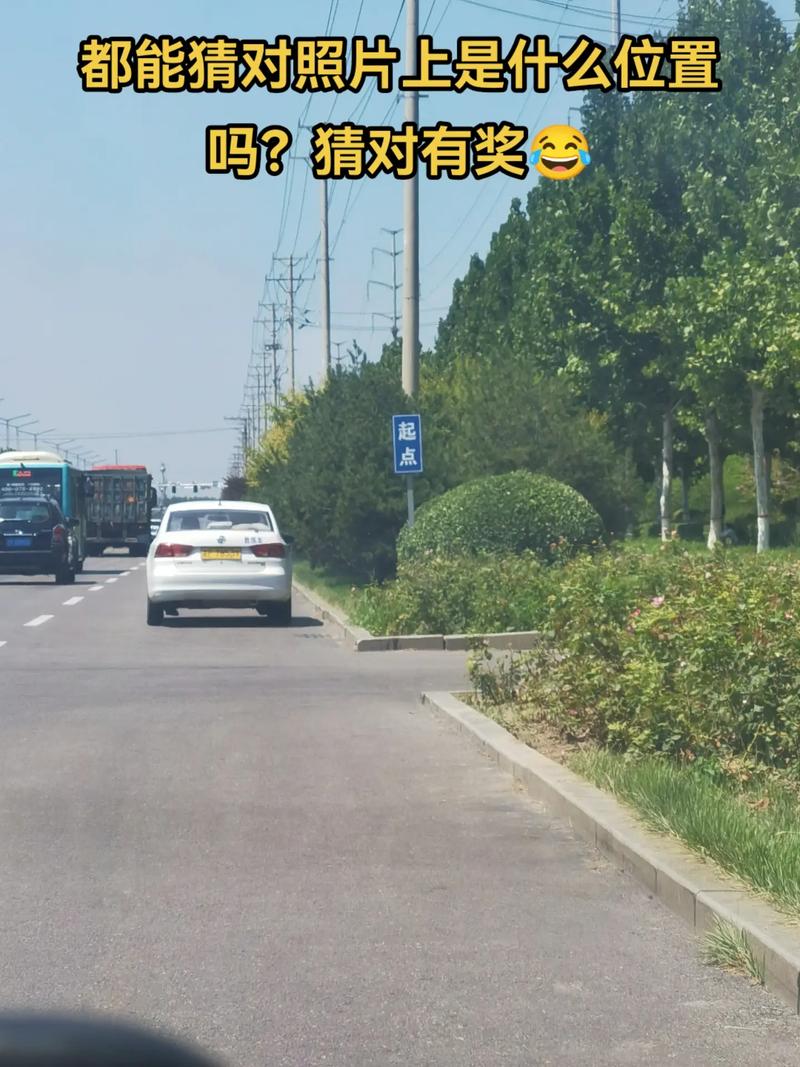2026聊城环岛立交陪练前十：专业服务解析与新手避坑指南