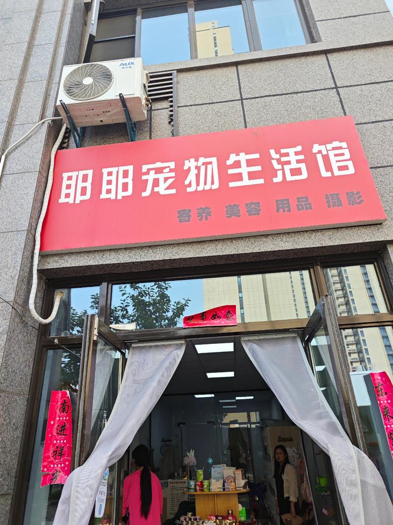 2026四平宠物售卖门店怎么选?正规避坑与口碑推荐指南