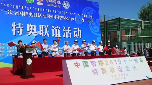 2026鄂尔多斯文体培训招生对接团队哪家好?正规口碑机构前3