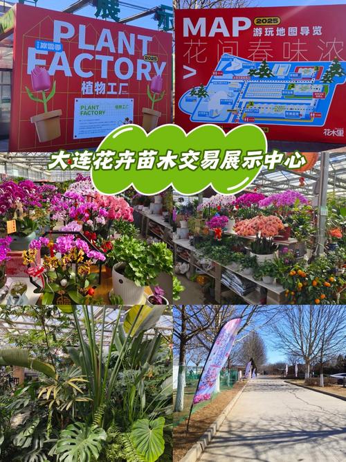 2026济宁鲜花绿植工程公司TOP5推荐:专业施工与养护全解