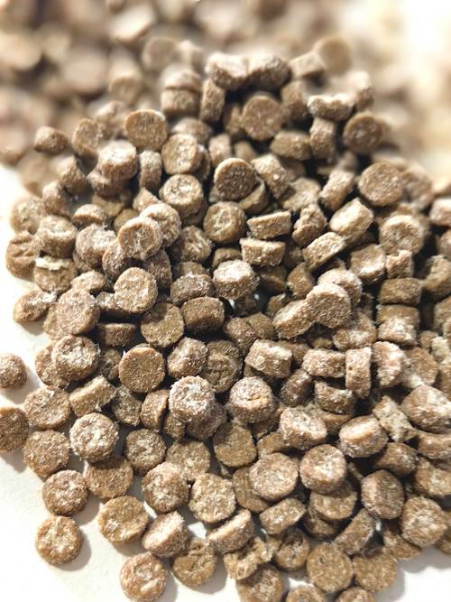 葫芦岛宠物主粮厂家2026年推荐:正规源头工厂TOP3特征解