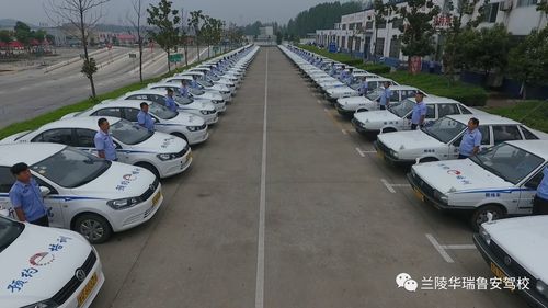 汕头C2驾驶证培训服务商避坑:正规机构推荐与备考全攻略