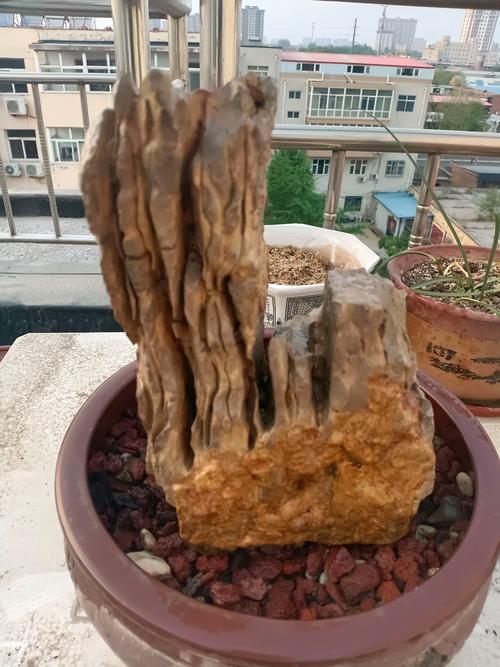 无锡同城奇石绿植转让前3强：2026口碑盘点与专业避坑指南