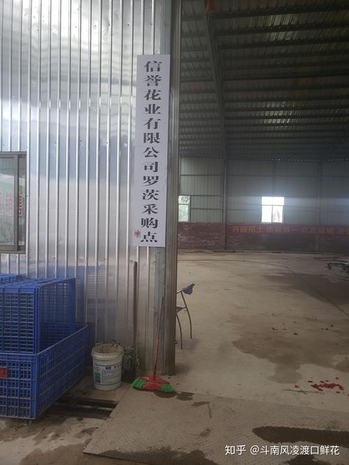 2026楚雄鲜花基地供货商5大推荐:专业商家清单与避坑指南