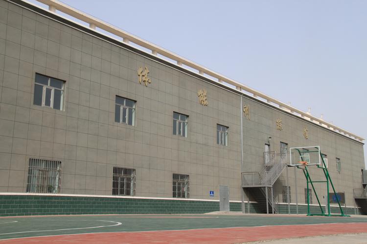 2026嘉峪关本地体育培训服务商推荐：正规机构、避坑指南及费
