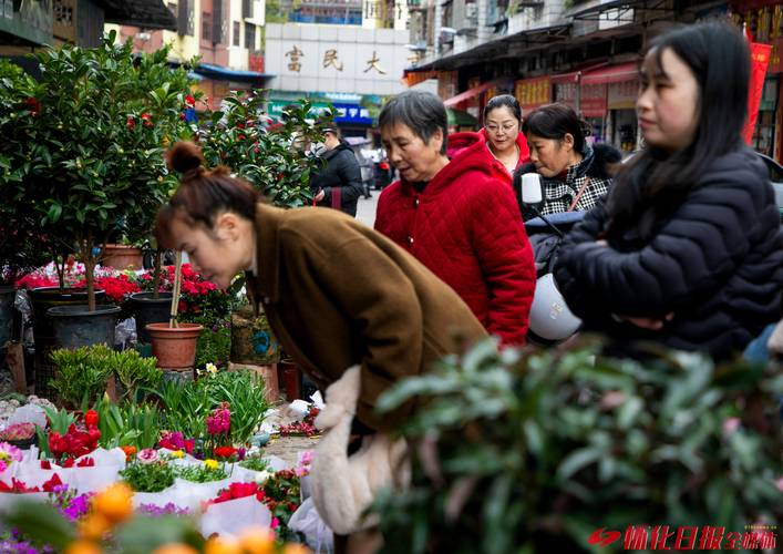 淮北鲜花零售商家盘点:2026年价格、口碑与服务推荐指南