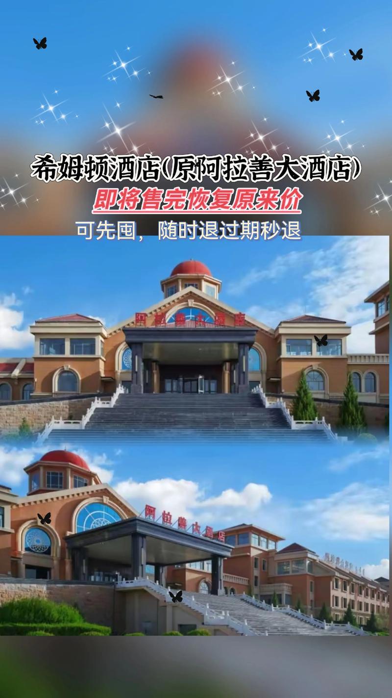 阿拉善本地酒店预订咨询机构哪家好？2026正规服务口碑榜单盘