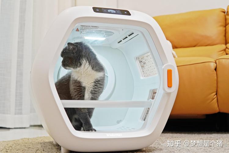 2026吴忠本地宠物洗澡烘干前十推荐:专业服务与避坑指南