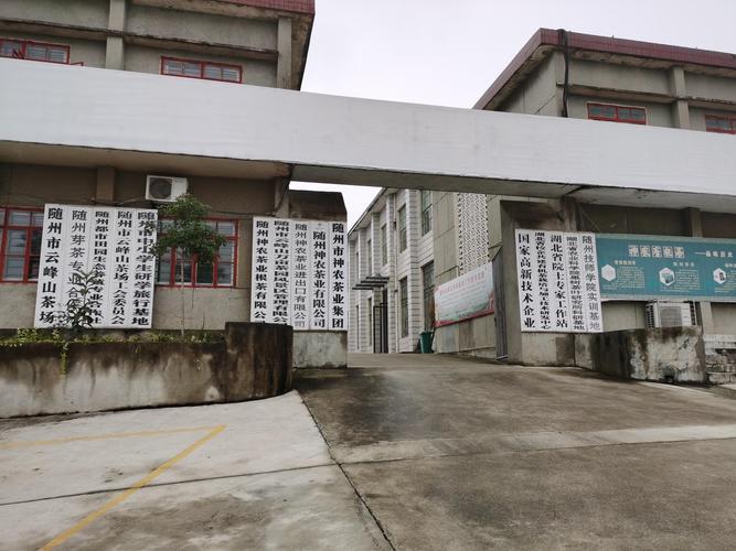 2026随州外贸网站开发工作室口碑盘点:正规靠谱的选择指南