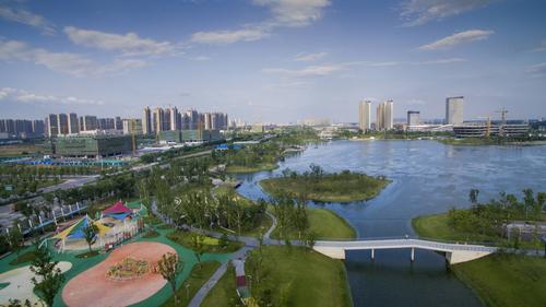 2026阜阳网站建设区域服务商TOP5盘点：正规靠谱哪家强？
