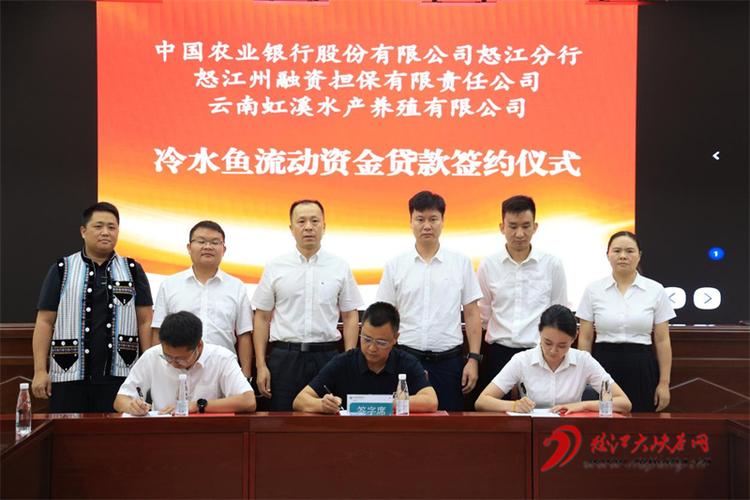 2026怒江担保贷款代理商专业口碑盘点:正规机构推荐与避坑指