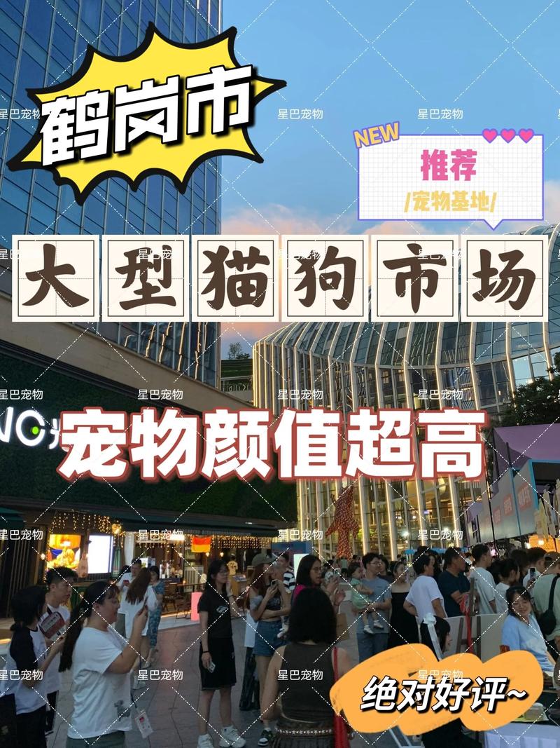 2026年鹤岗本地宠物售卖与综合服务口碑参考盘点