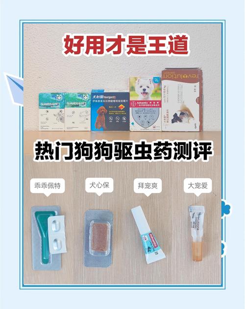 昭通本地宠物驱虫TOP3推荐:正规渠道避坑与价格指南(本文仅