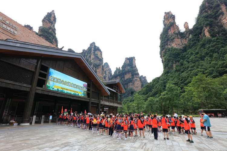 2026张家界青少年文体培训咨询门店哪家强?正规避坑指南与T