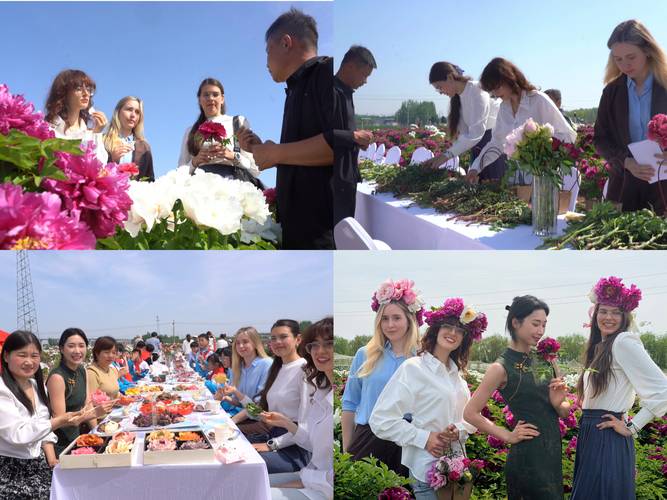 2026年菏泽年会庆典花艺设计公司排行榜:专业团队与正规供应