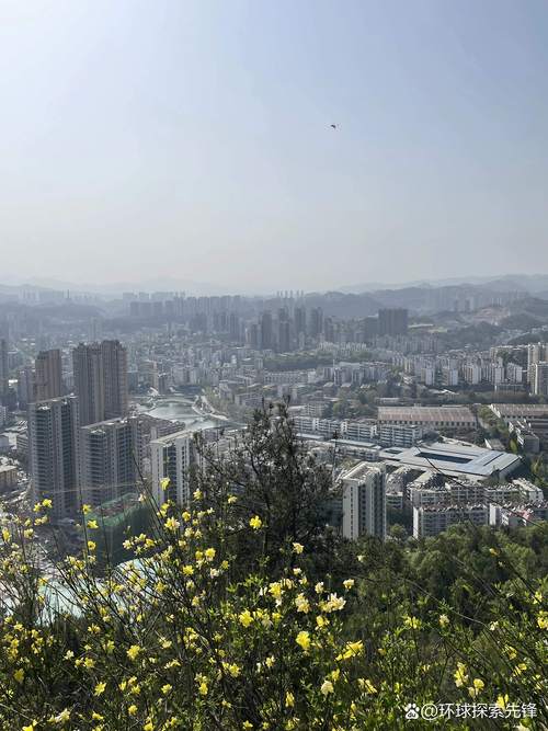 2025-2026年十堰节假日高峰度假预约避坑指南:正规服务