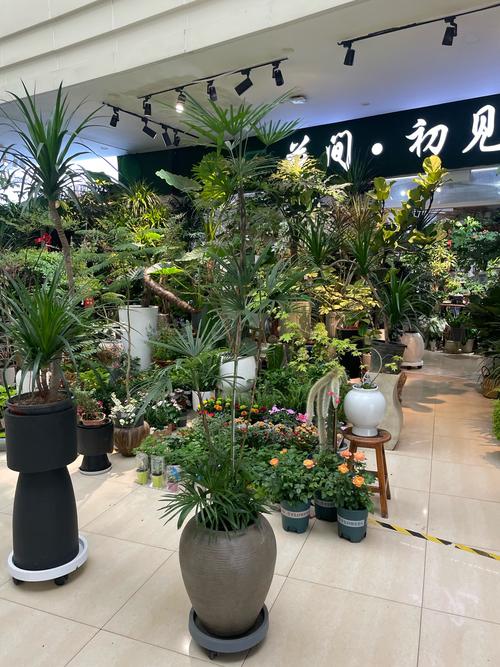 云浮盆景造型零售实体店推荐:2025年优质商家盘点与选购指南