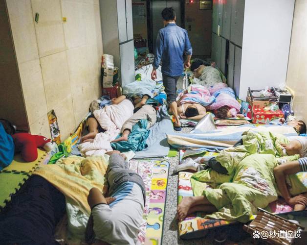 2026舟山病人陪护盘点:正规机构推荐与避坑指南