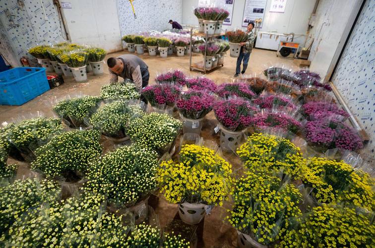 2026宣城鲜花工程供货商家专业推荐:避坑指南与口碑排名