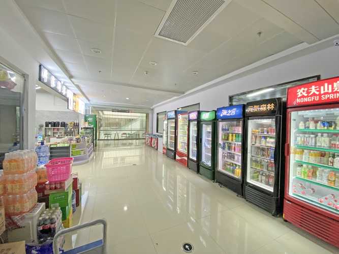 2026南平其他培训实体教学门店排名:正规技能与兴趣机构推荐