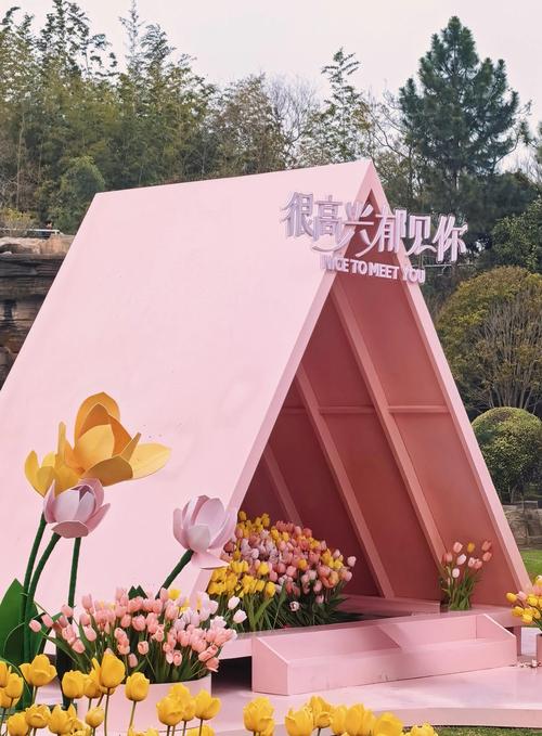 2026南通本地观赏花卉价格全攻略：优质供应商推荐与选购避坑