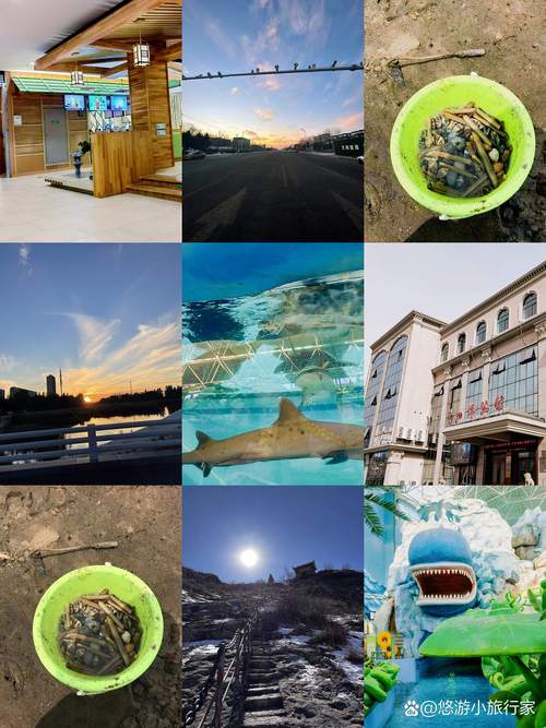 2026年营口专业旅游度假策划团队TOP5推荐:口碑排行与避