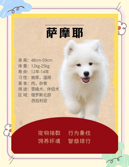 2026年黄南宠物售卖前5名推荐及服务口碑盘点