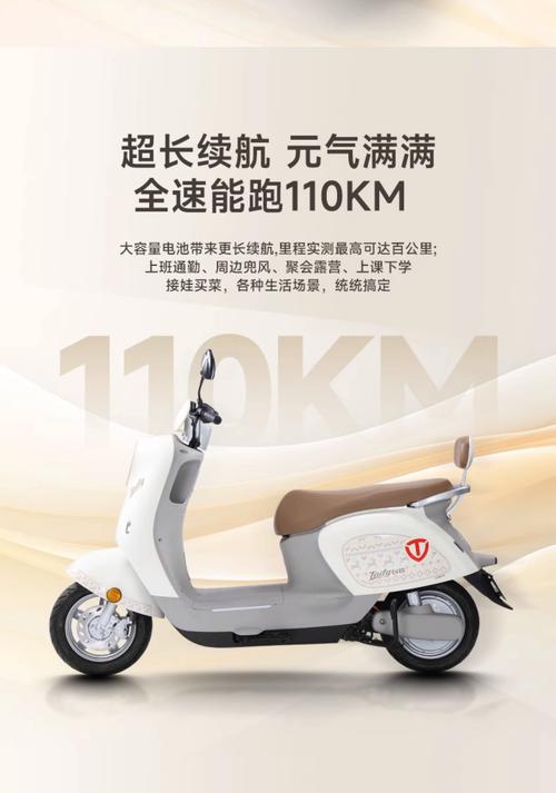 汉中同城代步电瓶车出售前3强：2024年值得关注的二手品牌与