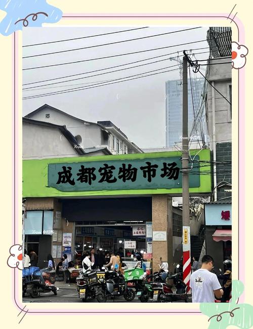 2026年三明宠物用品售卖及服务口碑前十推荐