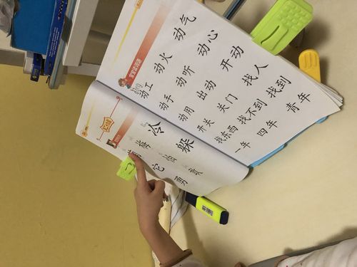 2026云浮亲子陪读留学签证机构推荐:前3强正规服务商盘点与