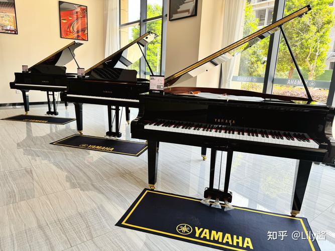 塔城附近雅马哈乐器转让推荐清单:正规渠道与选购指南