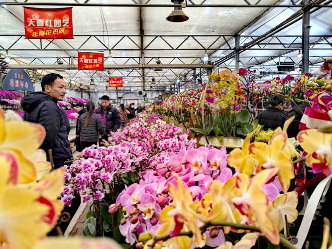 2026西安鲜花批发经销商前十盘点:哪家强?正规渠道与价格参