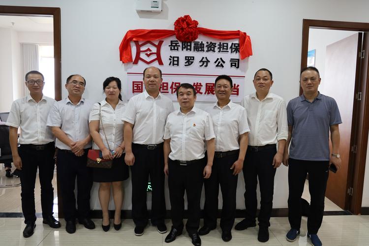2026年岳阳本地正规担保贷款服务商推荐及市场盘点