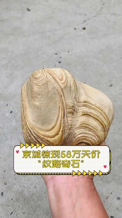 2026商丘附近景观奇石急转费用解析:热门转让清单与避坑指南