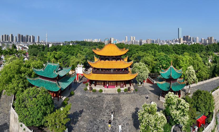 2026年岳阳短视频拍摄口碑推荐:正规服务商盘点与避坑指南