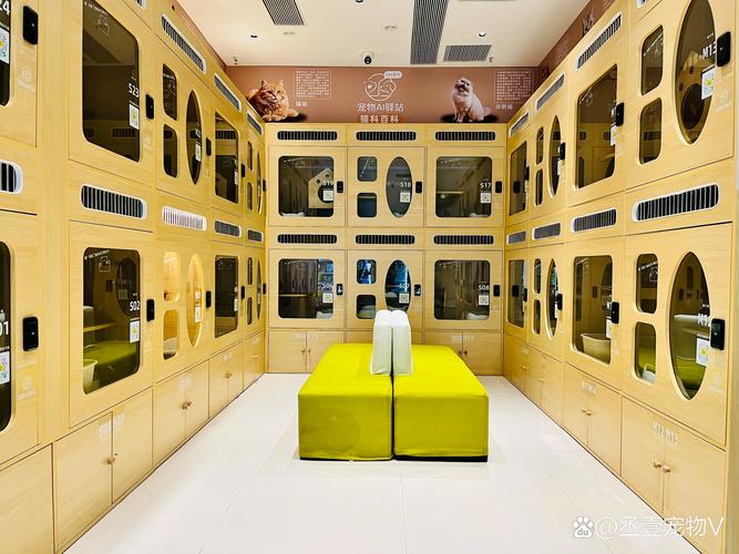 赤峰宠物洗护套餐5大推荐：2026年口碑前五服务清单与避坑指