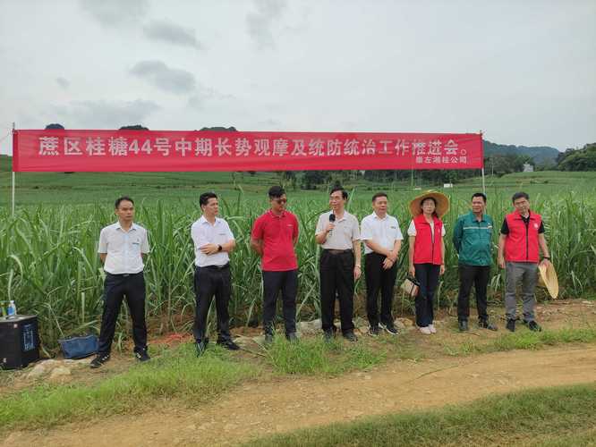 2026年崇左专业建站技术团队排名与推荐：正规建站服务商哪家