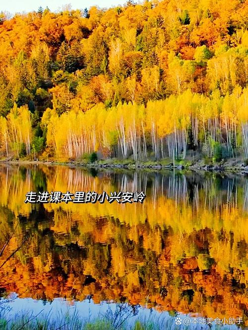 伊春本地翻译校对润色服务商避坑指南:2026正规机构推荐清单