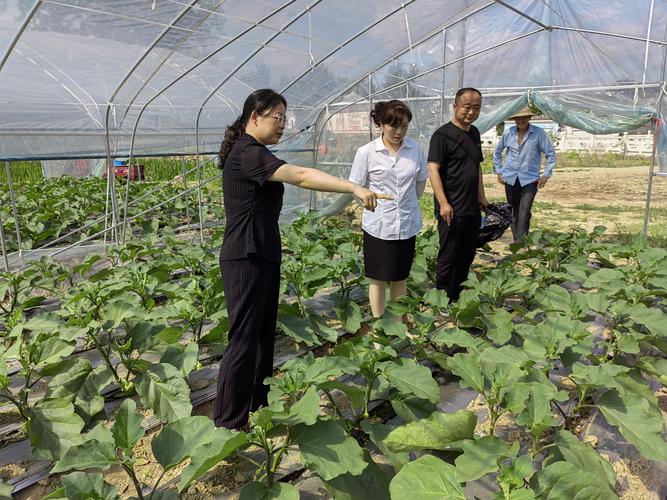随州资产评估配套会计审计机构排行榜:2026年正规服务公司T