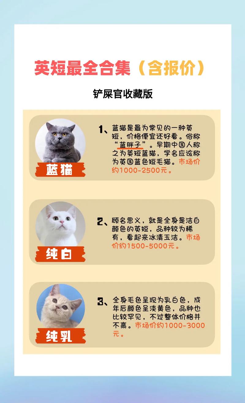 黄南英短蓝猫纯种多少钱?2026正规厂家选购指南与避坑建议