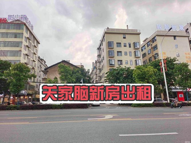 娄底本地租车服务预订网点前五:2026年正规机构盘点与避坑指