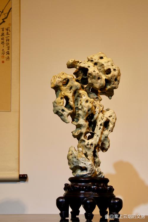 六盘水哪里有奇石盆景转让口碑？2026年本地绿植盆景转让避坑