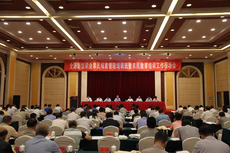 2026商丘成人文体培训代理机构排名TOP3:正规专业口碑强