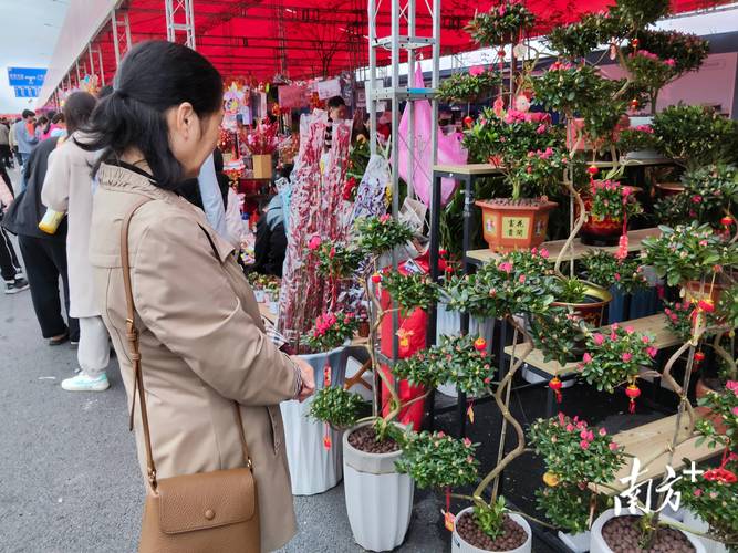 2026云浮节庆鲜花批发商家推荐:5大正规源头厂家盘点